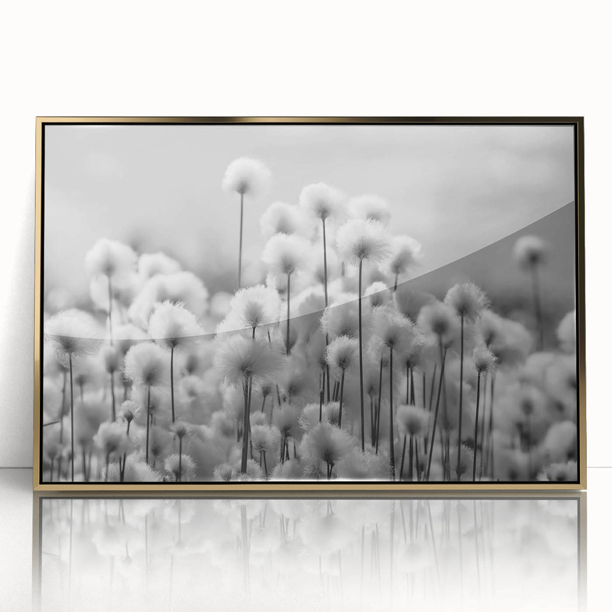 Framed botanical wall art showcasing a detailed dandelion design with a gold acrylic frame, perfect for home decor and nature-inspired aesthetics.