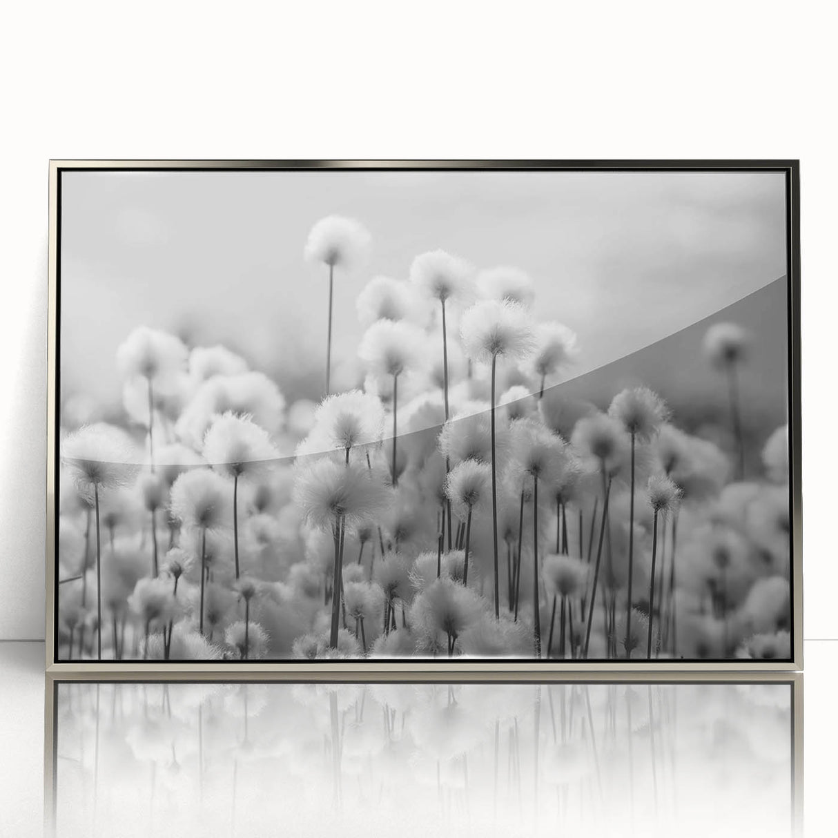 Framed wall art featuring a botanical dandelion design in silver-acrylic finish, showcasing delicate floral details against a minimalist backdrop, perfect for home decor.