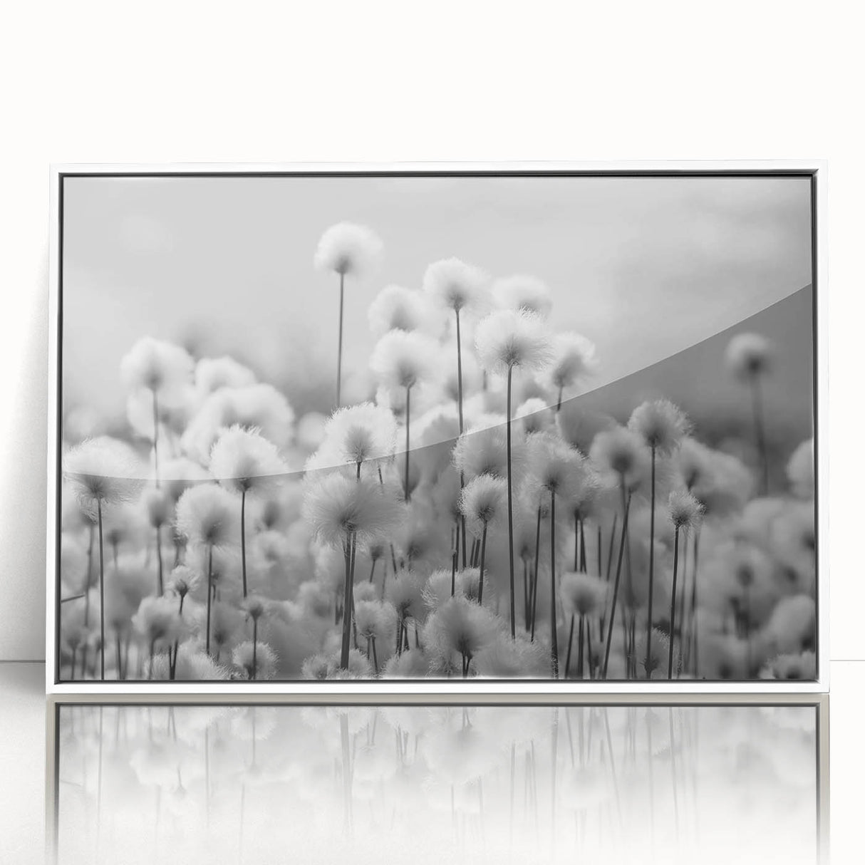 Framed wall art featuring a botanical dandelion design in vibrant colors, displayed in an elegant white frame, ideal for home decor and nature enthusiasts.