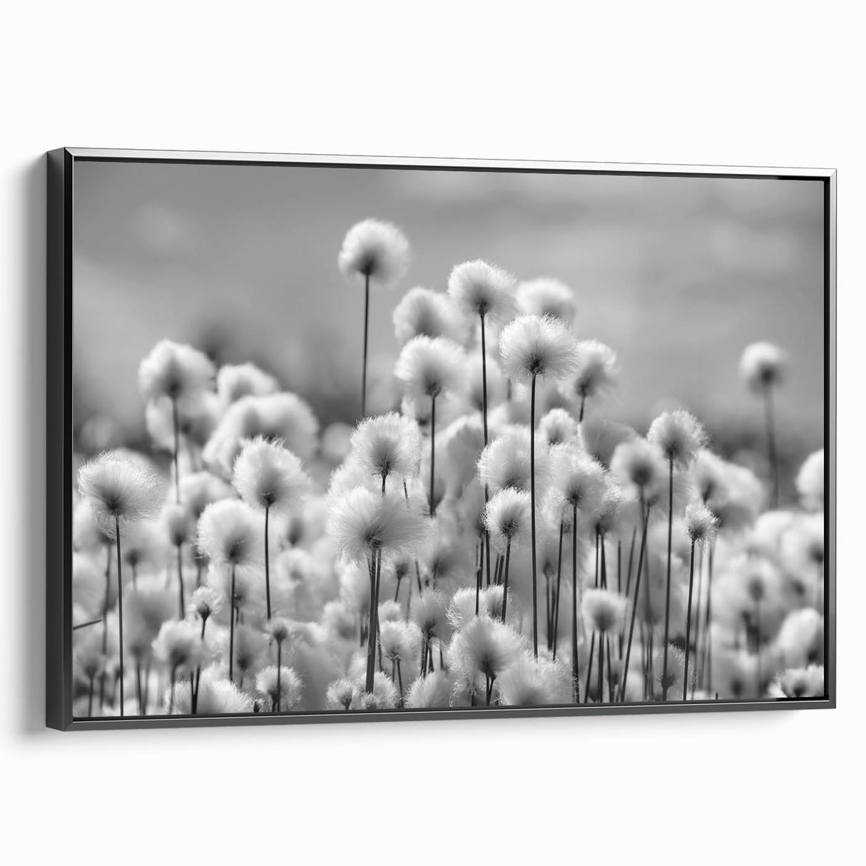 Framed wall art showcasing a botanical dandelion design on canvas, featuring a sleek black frame and side view, perfect for modern home decor. Ideal for nature lovers and art enthusiasts.