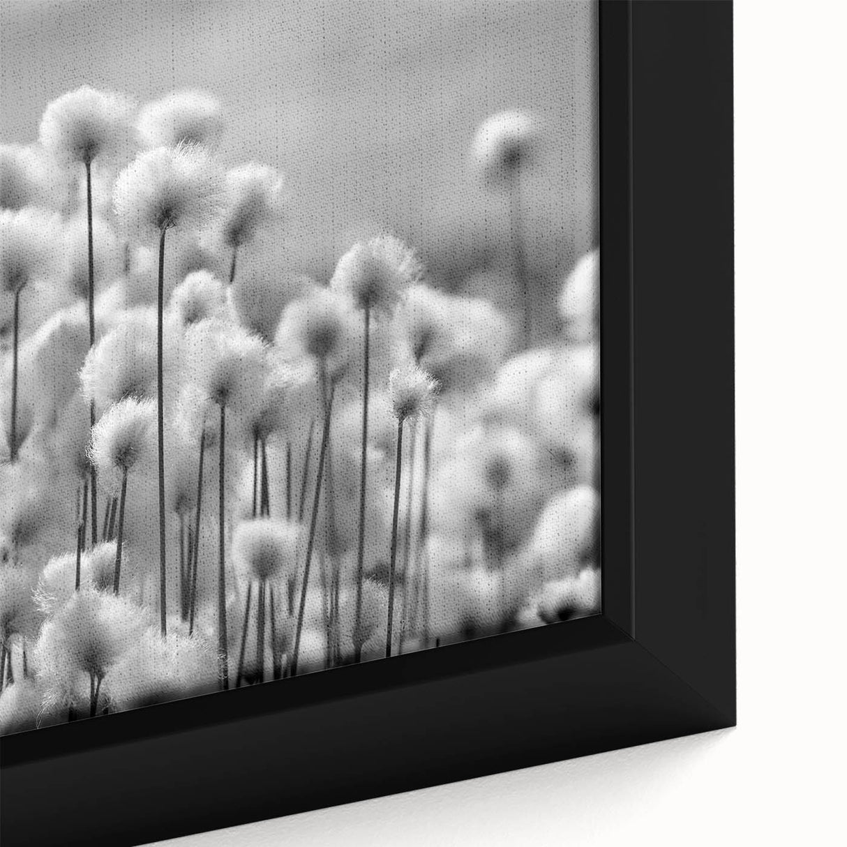 Close-up of a framed botanical wall art piece showcasing a detailed dandelion design on canvas, highlighting intricate textures and vibrant colors, ideal for home decor.