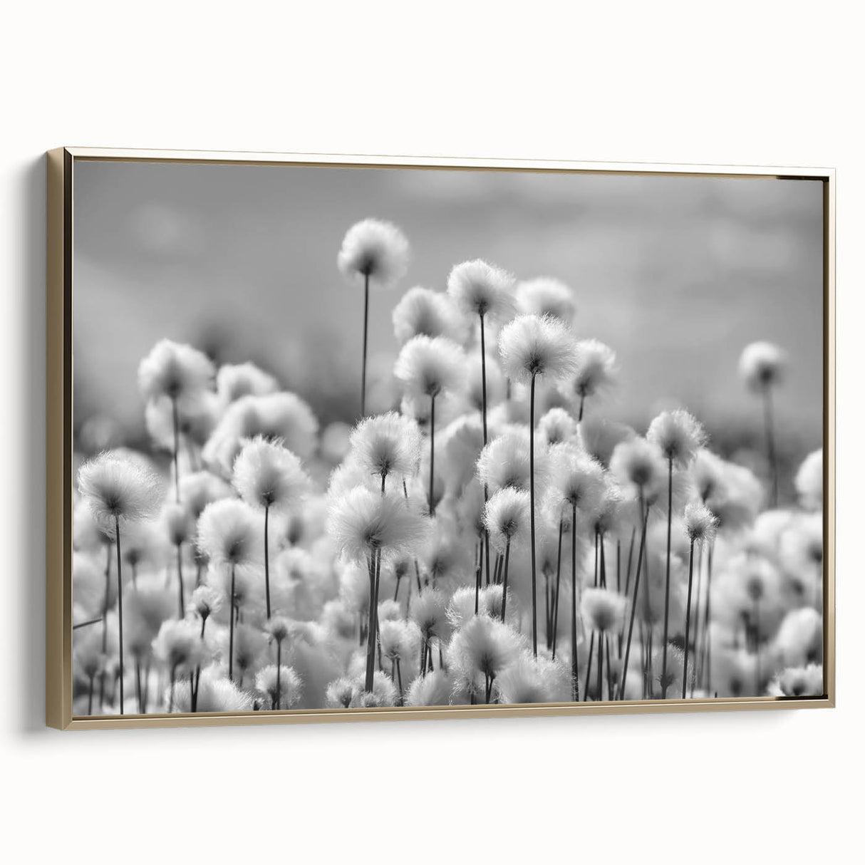 Framed wall art showcasing a botanical dandelion design on canvas, featuring a gold frame and side view perspective, perfect for home decor accents.