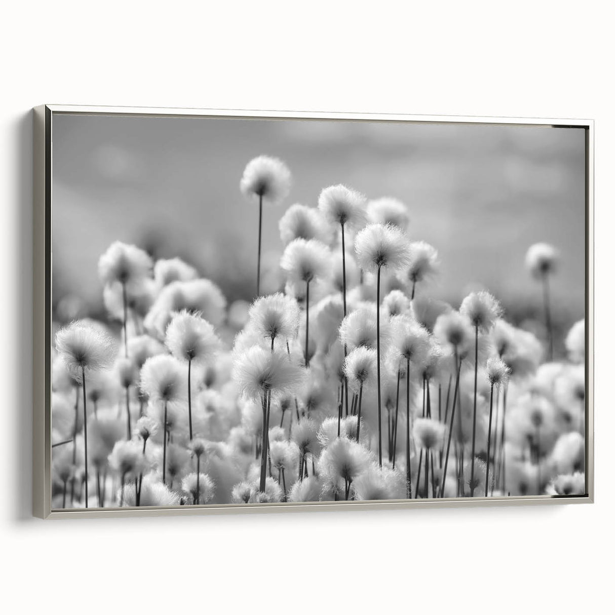 Framed wall art featuring an intricate botanical dandelion design, elegantly showcased in a silver frame, perfect for enhancing modern interior decor.