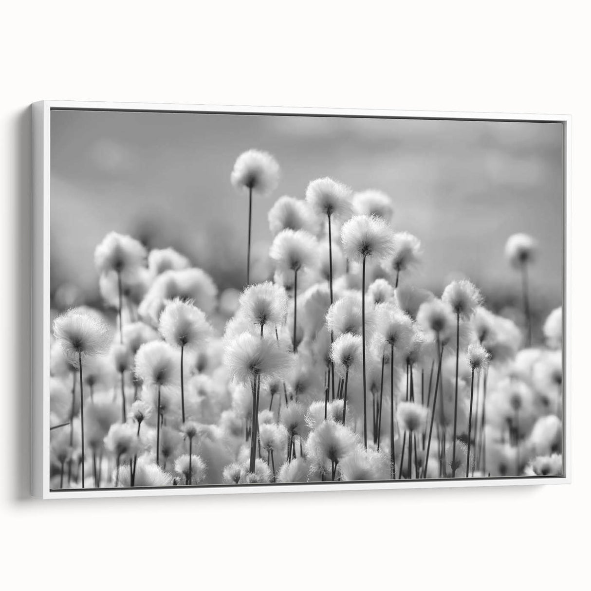 Framed botanical wall art featuring a delicate dandelion design on a canvas, showcased from the side against a white background, ideal for home decor.