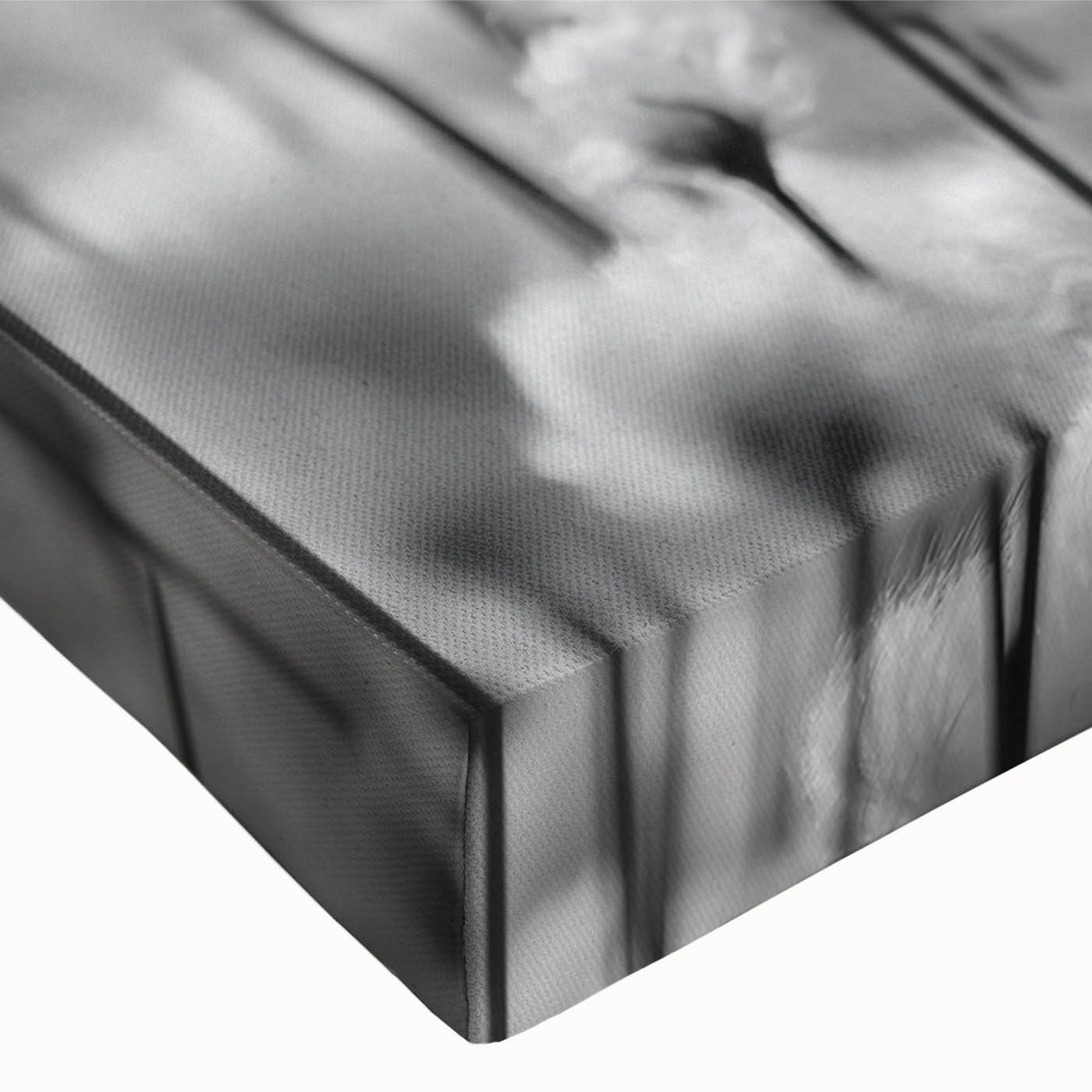 Close-up of a botanical dandelion design wall art piece on stretched canvas, showcasing intricate details and vibrant colors, ideal for home decor or nature-themed spaces.