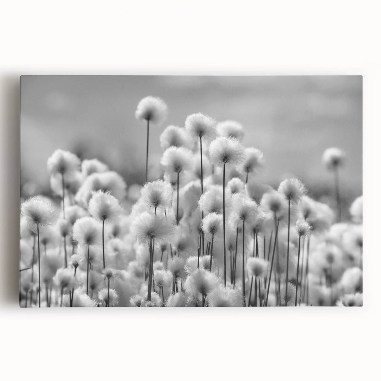 Stretched canvas wall art featuring a botanical design of dandelions in soft pastel colors, showcasing intricate details and textures, perfect for nature-inspired decor.