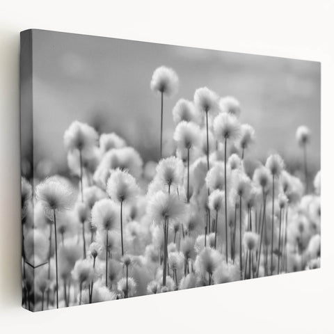 Stretched canvas wall art showcasing an elegant dandelion botanical design in soft pastel colors, perfect for home decor and nature-themed interior styling.