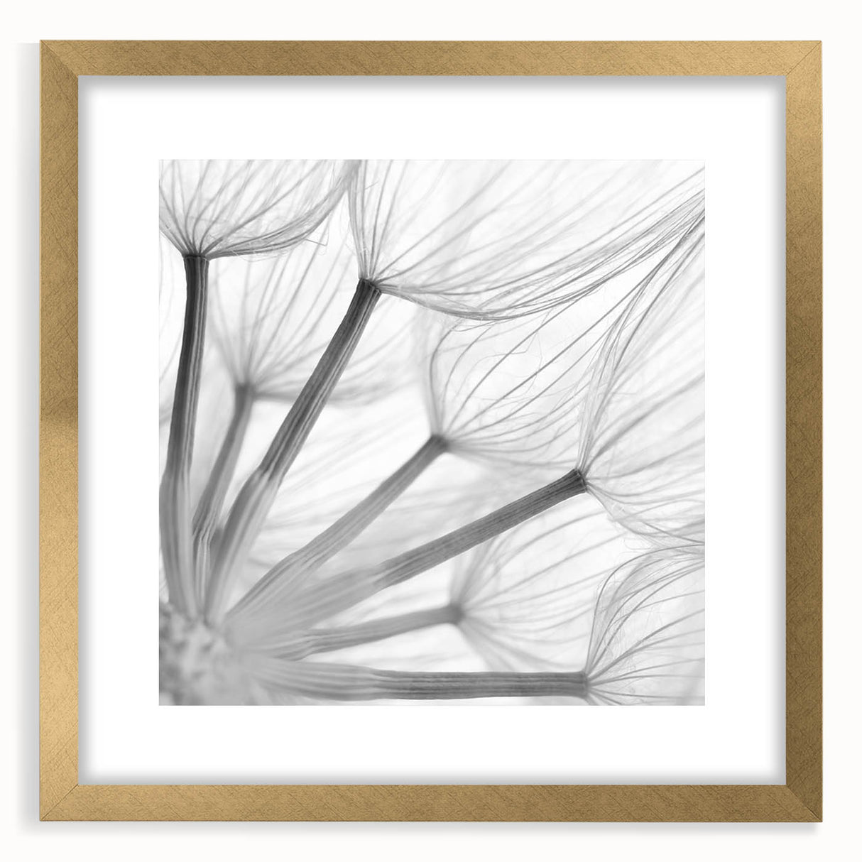 Botanical wall art featuring a dandelion design in a gold frame with a mat, showcasing intricate details and elegant aesthetics perfect for home decor.