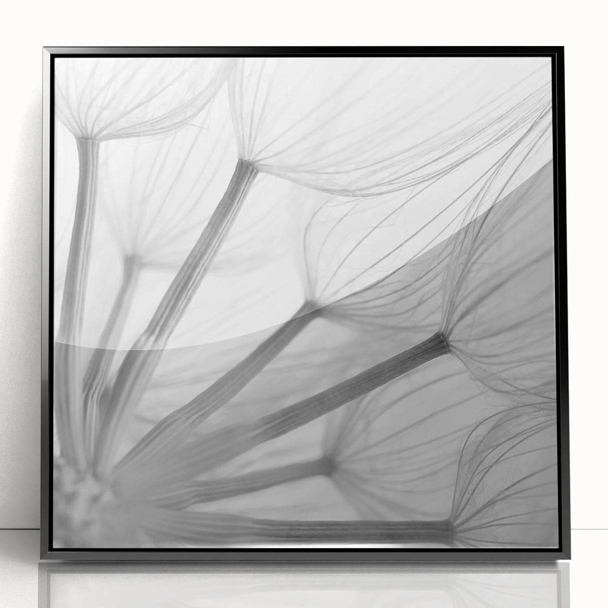 Framed wall art showcasing a botanical dandelion design in black acrylic, set against a light background, ideal for modern home decor and nature enthusiasts.