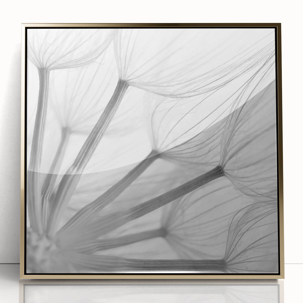 Framed botanical wall art showcasing a dandelion design, elegantly set in gold-acrylic with a modern aesthetic, perfect for home decor enhancement.