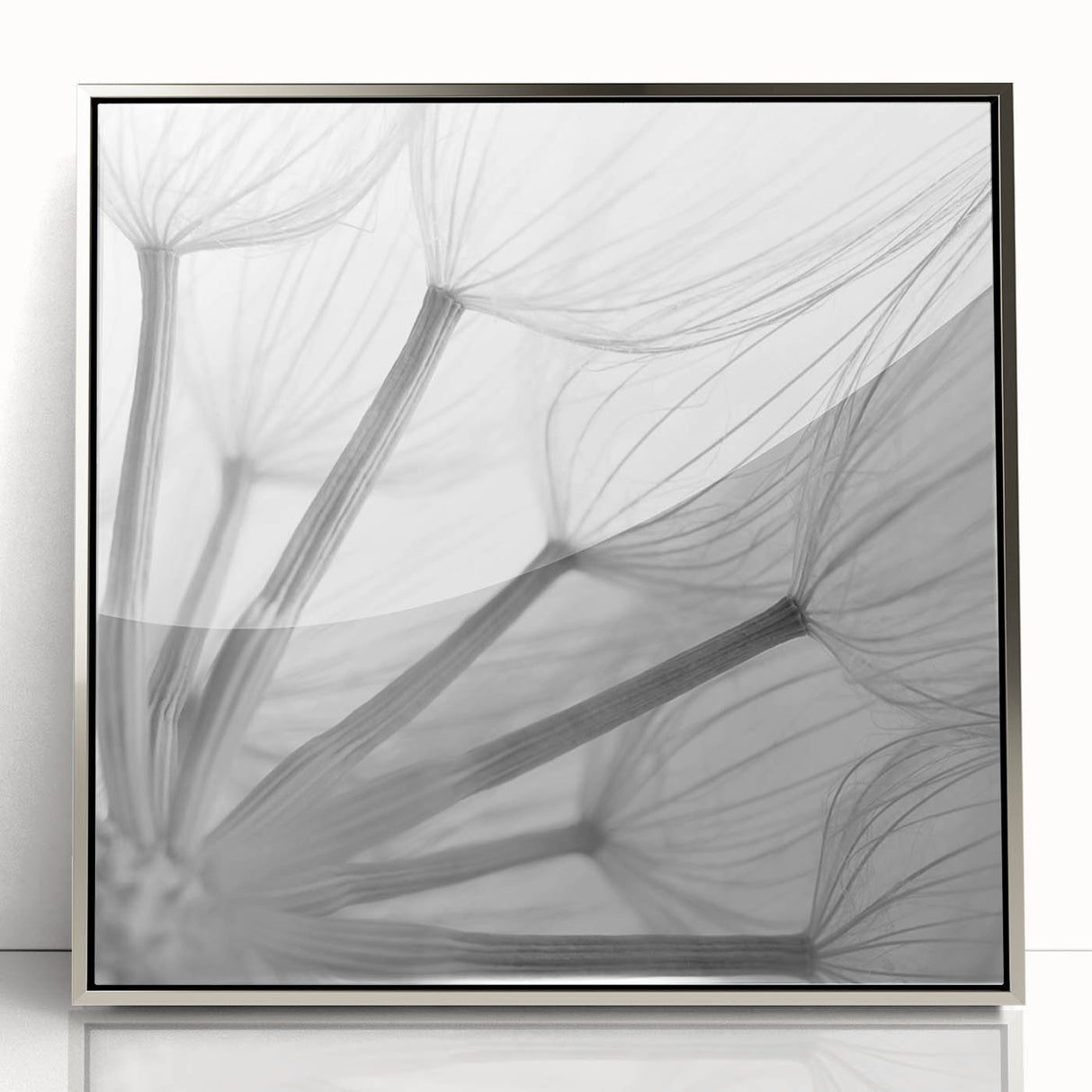 Framed wall art featuring a delicate botanical dandelion design in silver acrylic, showcasing intricate details and vibrant colors, perfect for modern home decor.