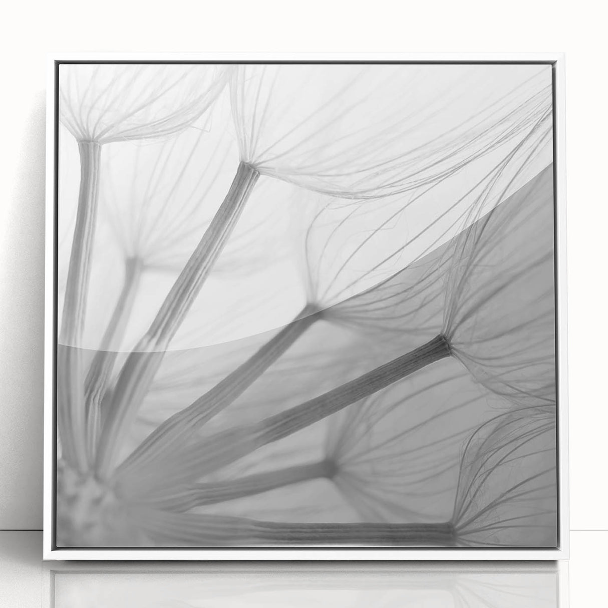Framed wall art featuring a delicate botanical dandelion design in white frame, showcasing intricate details and vibrant colors, perfect for home decor.