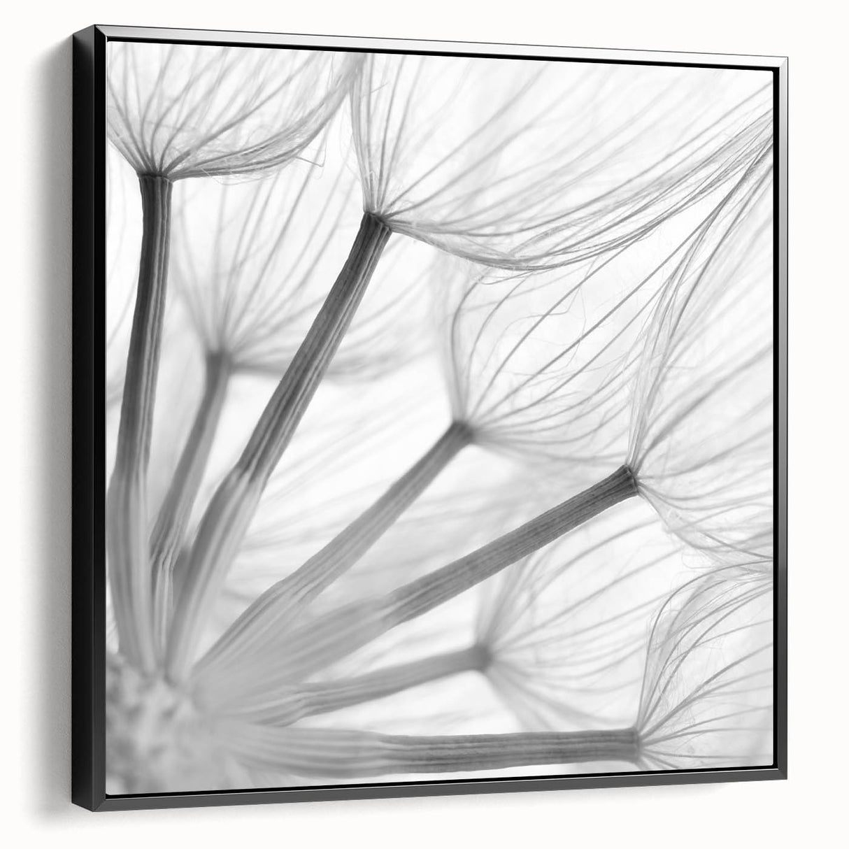 Framed black wall art showcasing a detailed botanical design of dandelions on canvas, highlighting intricate textures and elegant aesthetics for modern decor.