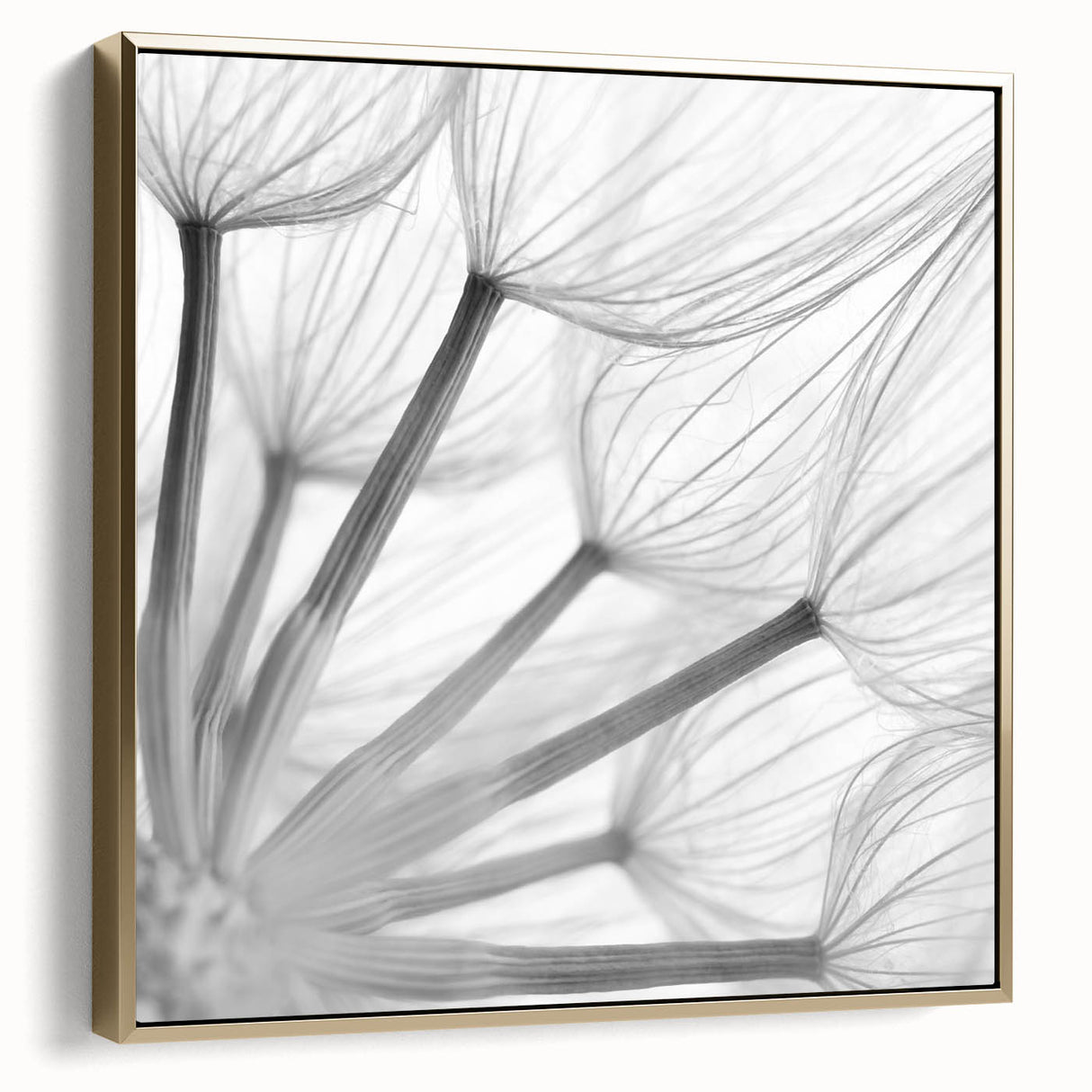 Framed botanical wall art featuring a delicate dandelion design on a silver and gold canvas, ideal for home decor with a modern, elegant touch. Perfect for nature enthusiasts.
