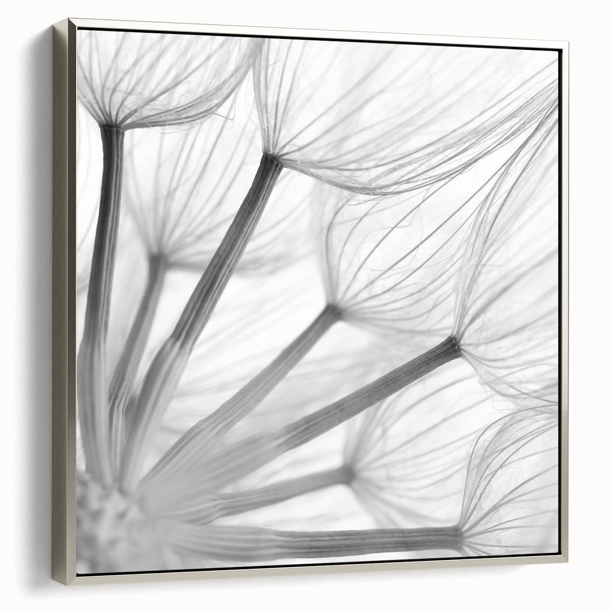 Framed botanical wall art featuring a dandelion design on canvas, elegantly displayed with a silver frame, showcasing intricate details and a modern aesthetic. Ideal for home decor.