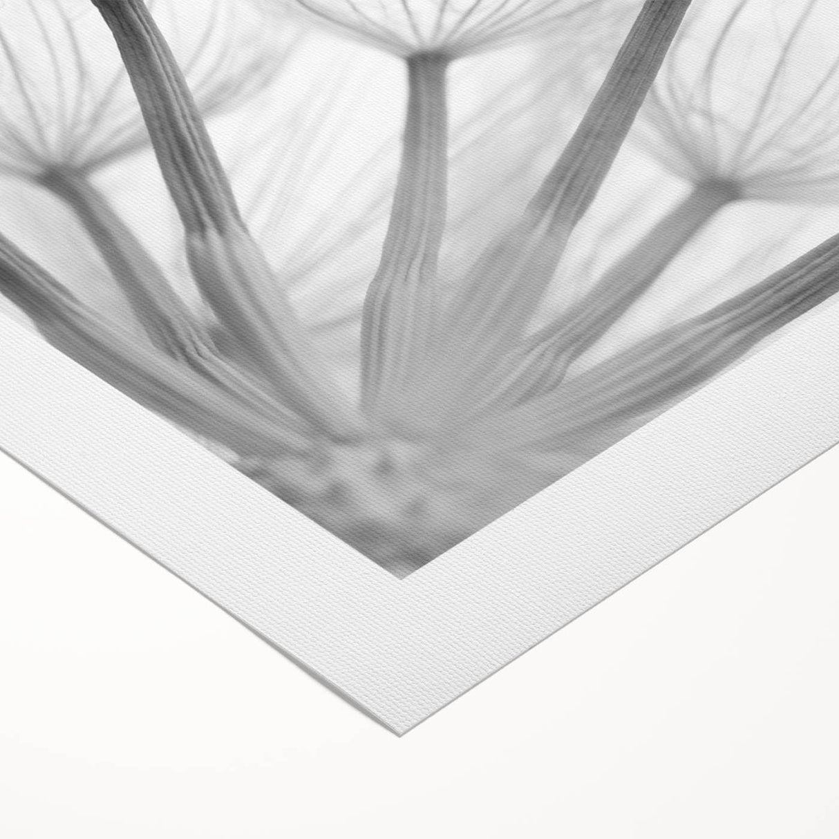 Botanical wall art featuring a delicate dandelion design on a rolled canvas, showcasing intricate details and soft colors, ideal for home decor enhancement.