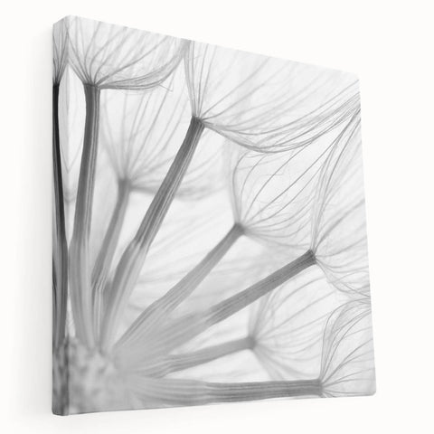 Stretched canvas wall art depicting a delicate dandelion design with intricate botanical details, showcasing soft colors and a modern aesthetic, perfect for home decor.