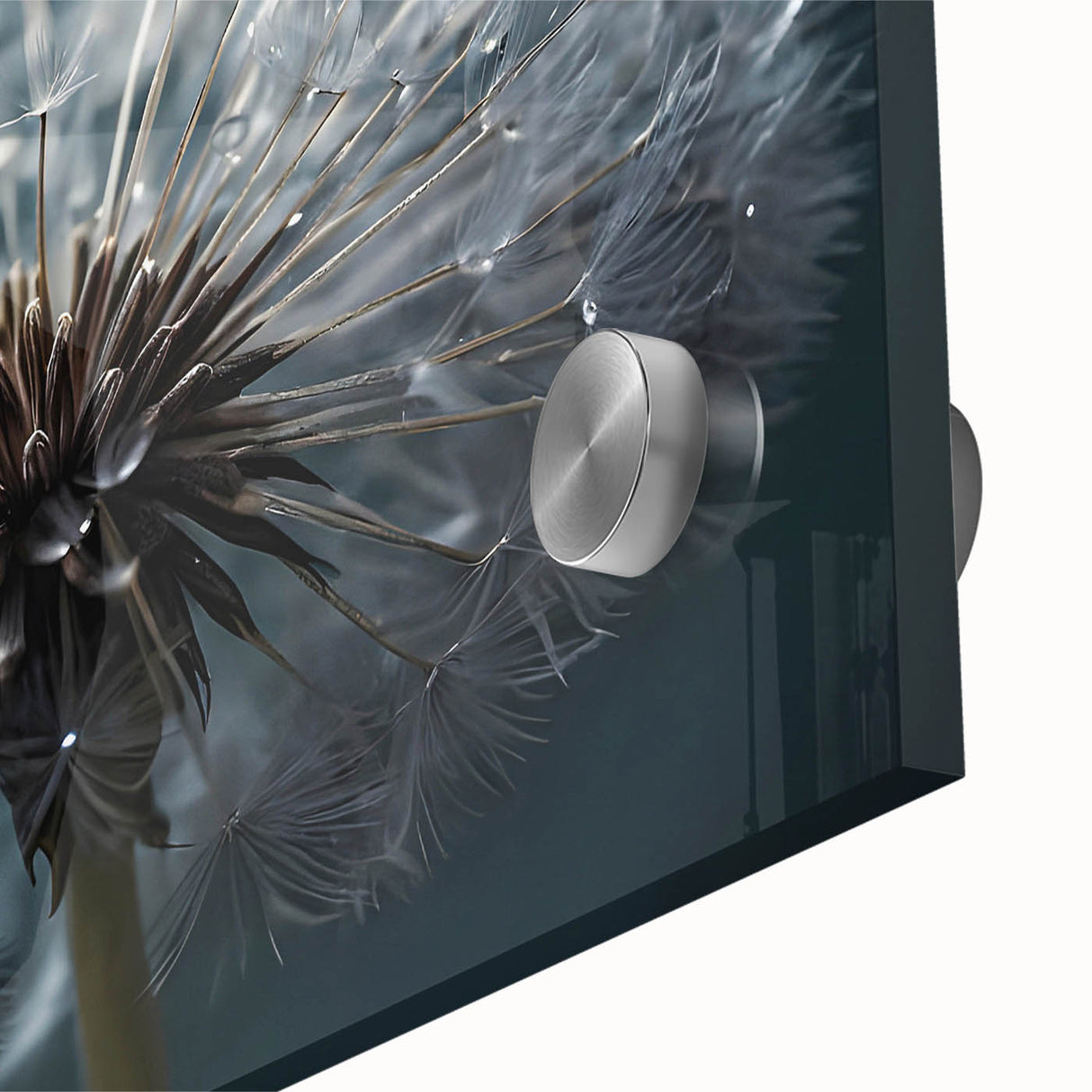 Close-up of a vibrant dandelion botanical design on acrylic glass wall art, showcasing delicate details and bright colors, perfect for modern home decor.