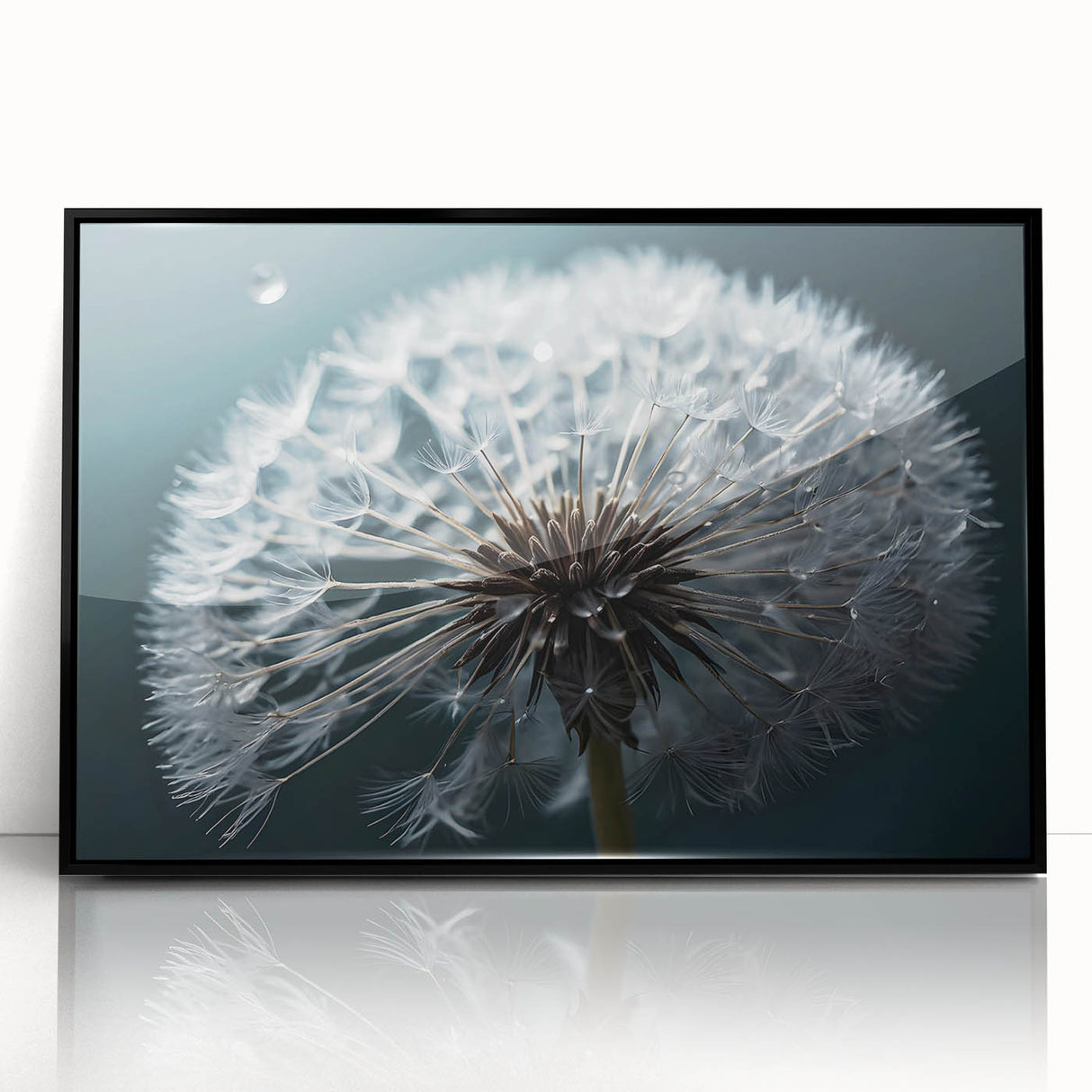 Framed wall art showcasing a detailed botanical design of dandelions in black and white, set against a sleek black frame, perfect for modern decor accents.