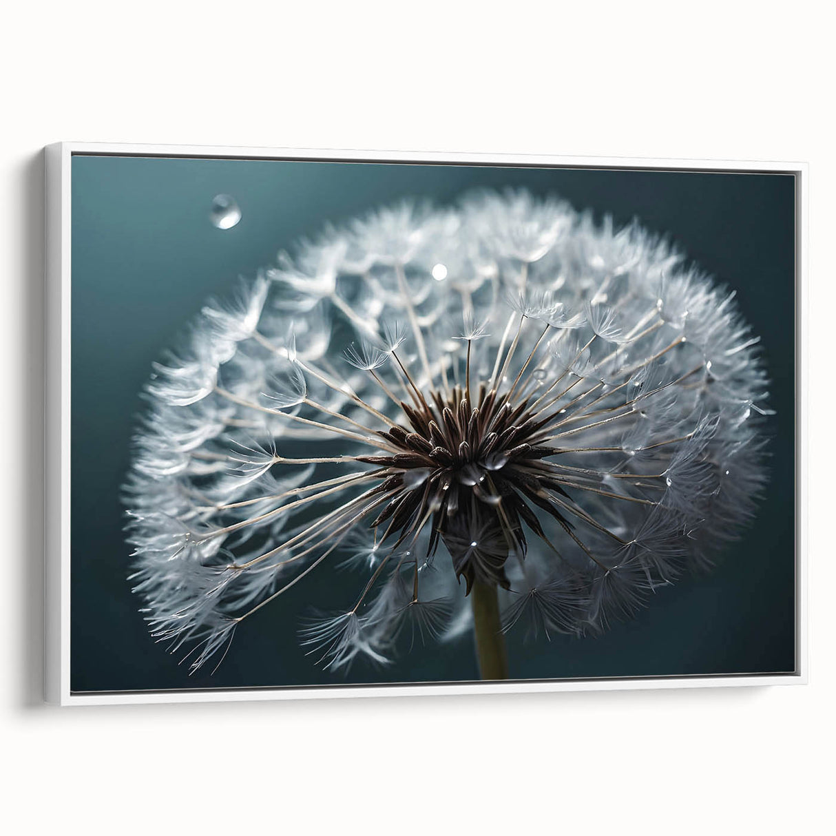 Framed canvas wall art showcasing a botanical dandelion design in elegant white tones, perfect for enhancing modern decor with nature-inspired beauty.