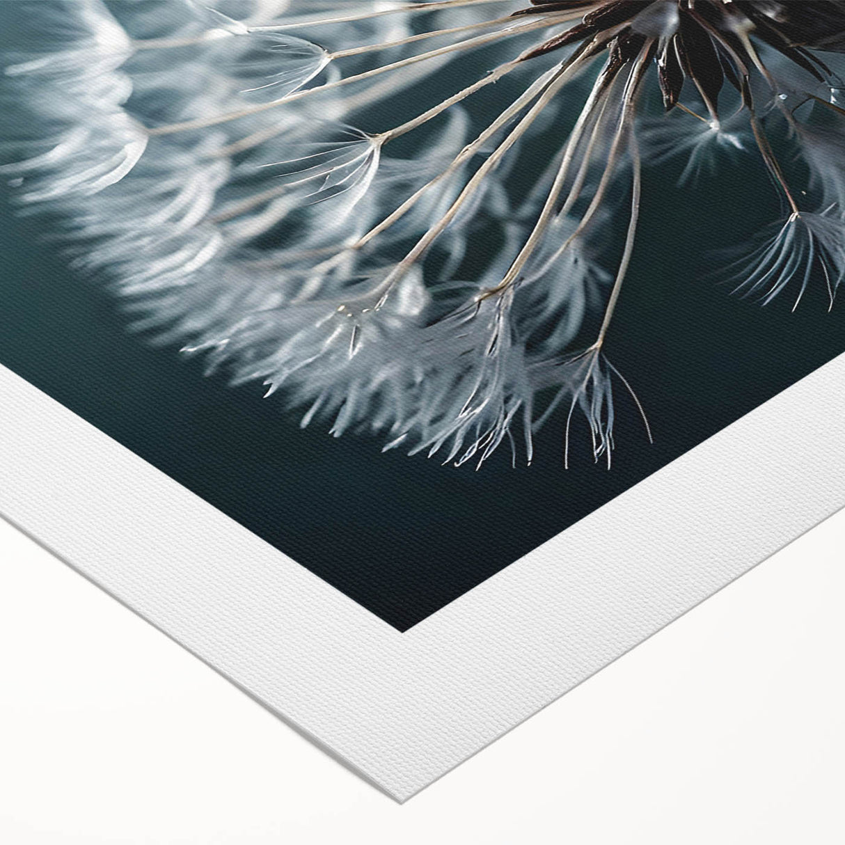 Botanical wall art print showcasing a delicate dandelion design on rolled canvas, featuring soft colors and intricate details, ideal for nature-inspired decor.