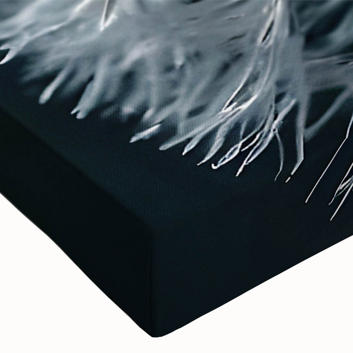 Close-up of a botanical dandelion design on stretched canvas wall art, showcasing intricate details and vibrant colors, perfect for home decor enthusiasts.