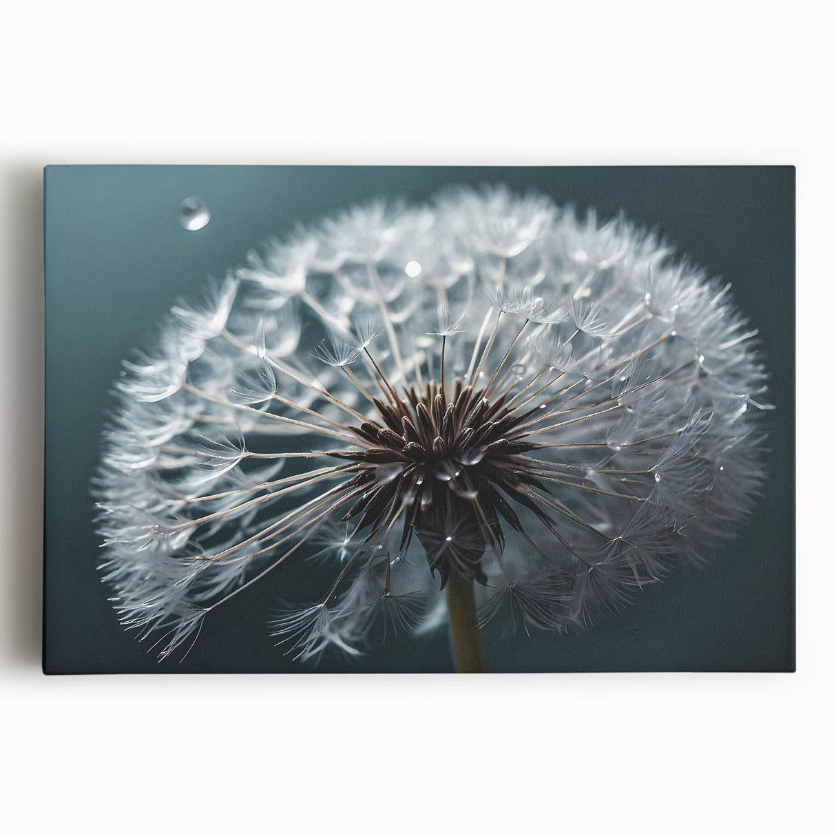 Stretched canvas wall art featuring a detailed botanical illustration of dandelions in soft yellow and green tones, perfect for brightening up any space.
