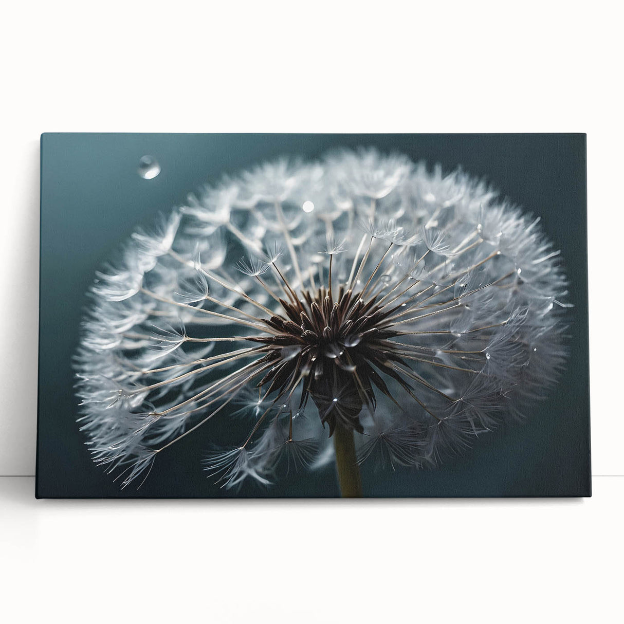 Stretched canvas wall art featuring a botanical dandelion design, showcasing delicate white flowers against a soft beige background, perfect for home decor.