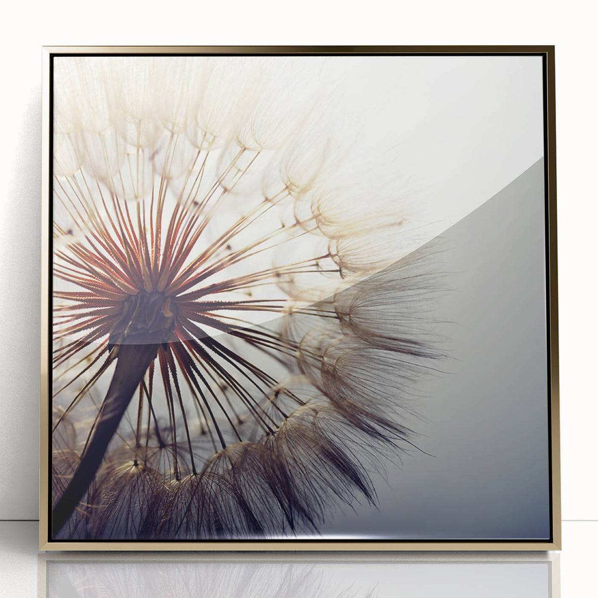 Framed wall art showcasing a botanical dandelion design with a gold-acrylic front, perfect for home decor, adding a touch of elegance and nature-inspired beauty to any space.