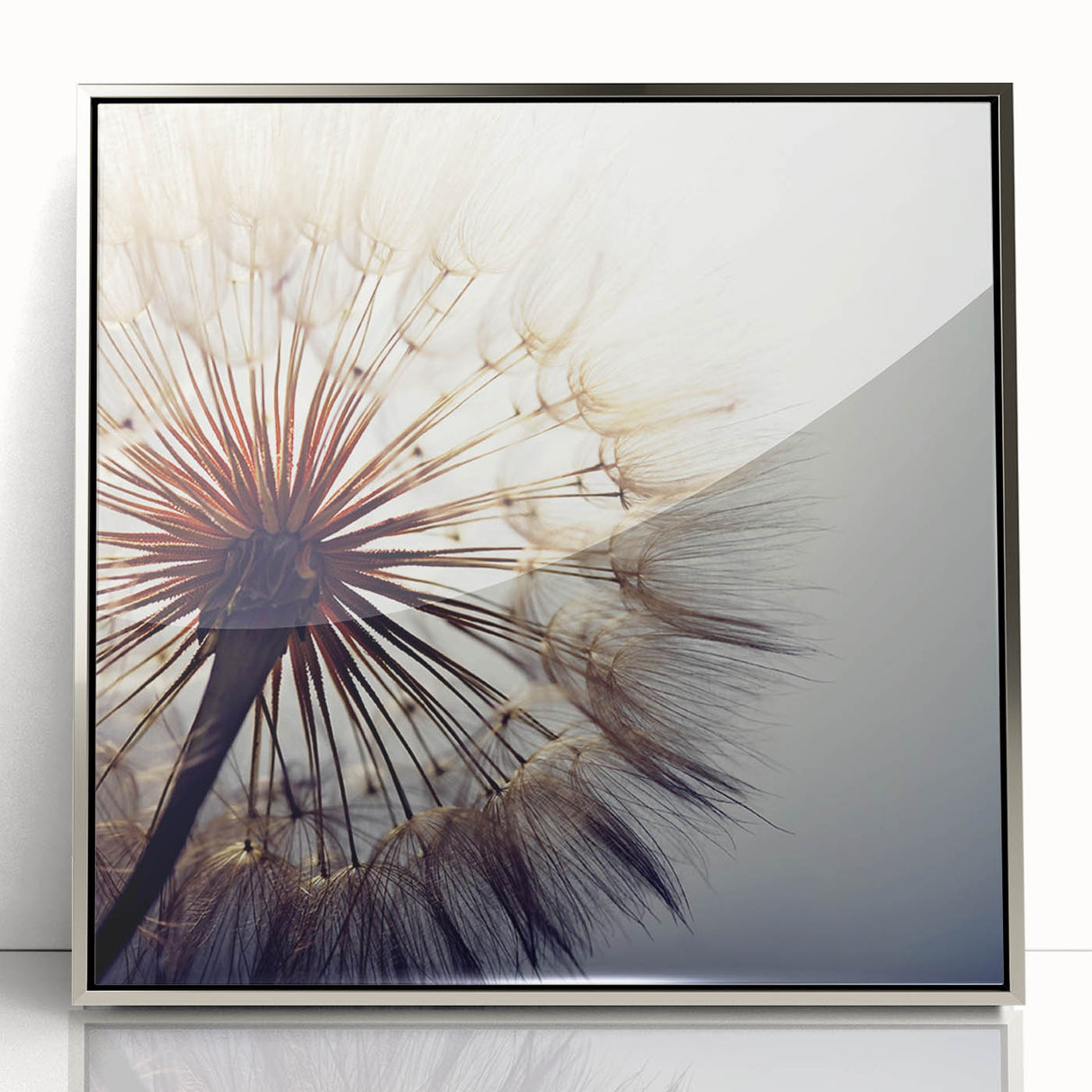 Framed botanical wall art showcasing a detailed dandelion design with silver accents, perfect for modern home decor. Ideal for nature enthusiasts and art lovers.