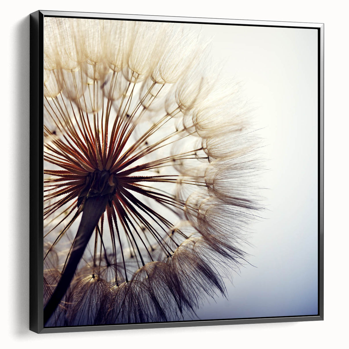 Framed wall art showcasing a botanical dandelion design on black canvas, highlighting intricate details and textures, perfect for modern home decor.