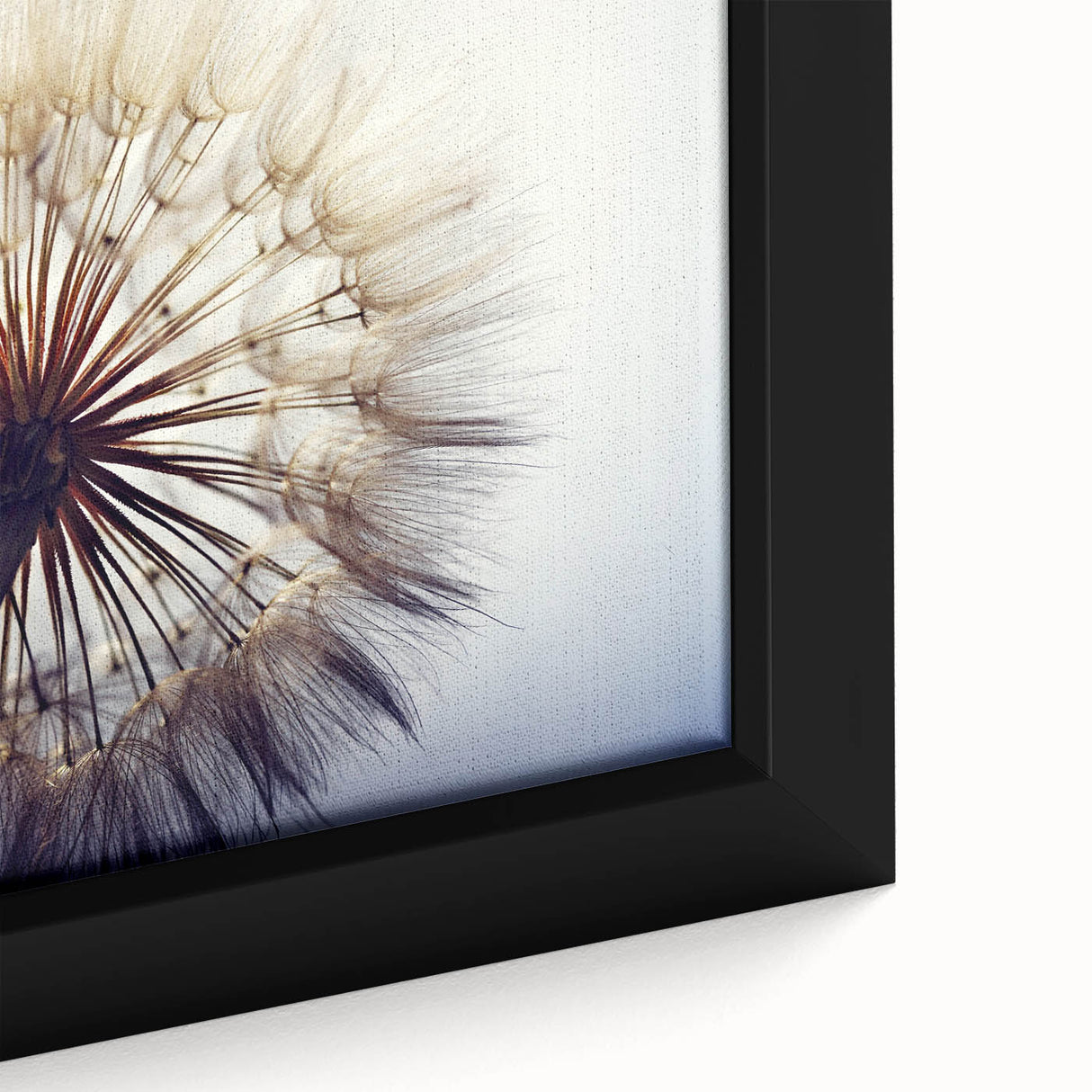 Close-up view of a framed botanical wall art featuring a detailed dandelion design on canvas, showcasing fine textures and vibrant colors, perfect for home decor.