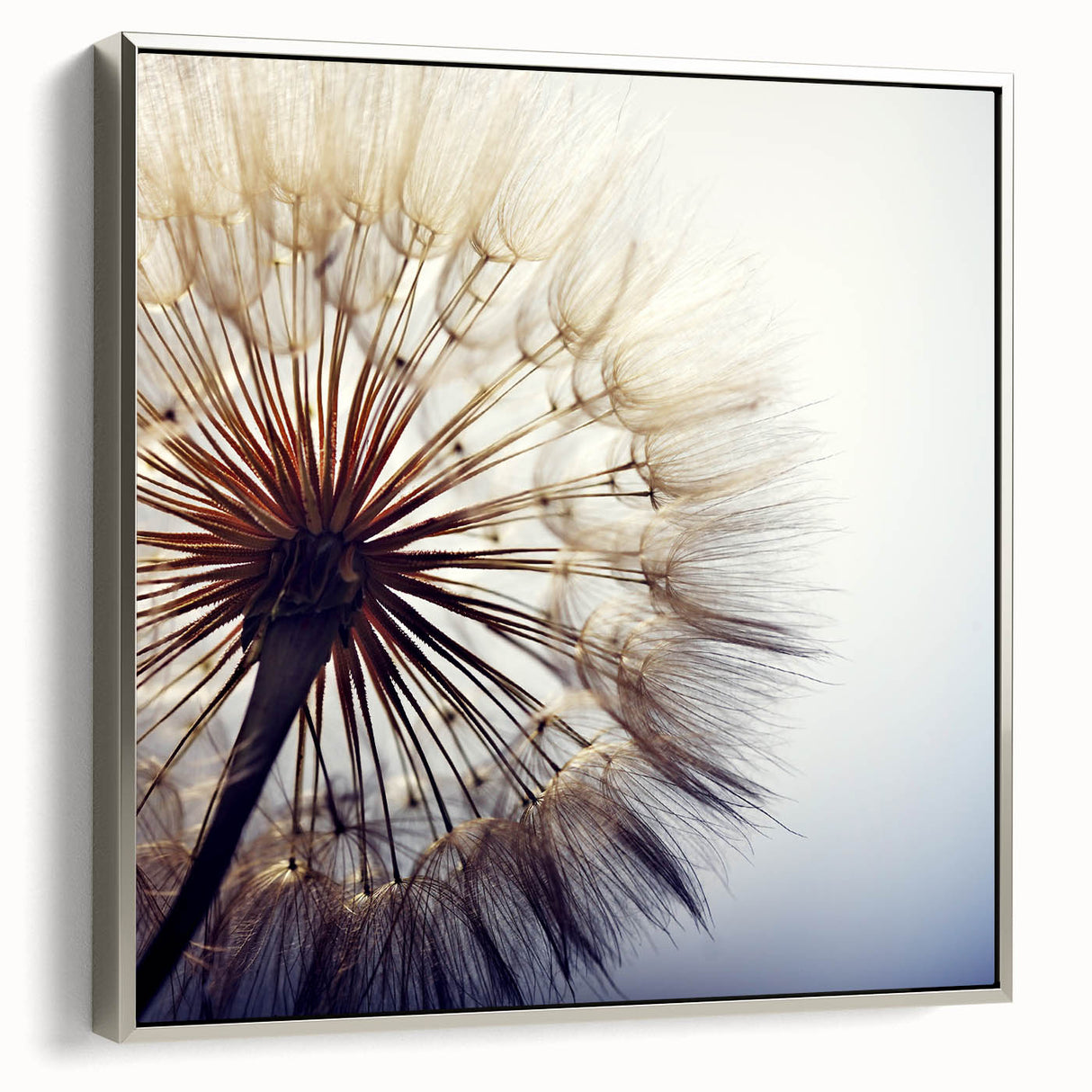 Framed wall art showcasing a detailed botanical dandelion design on a silver canvas, emphasizing intricate floral patterns and elegant aesthetics, perfect for home decor.