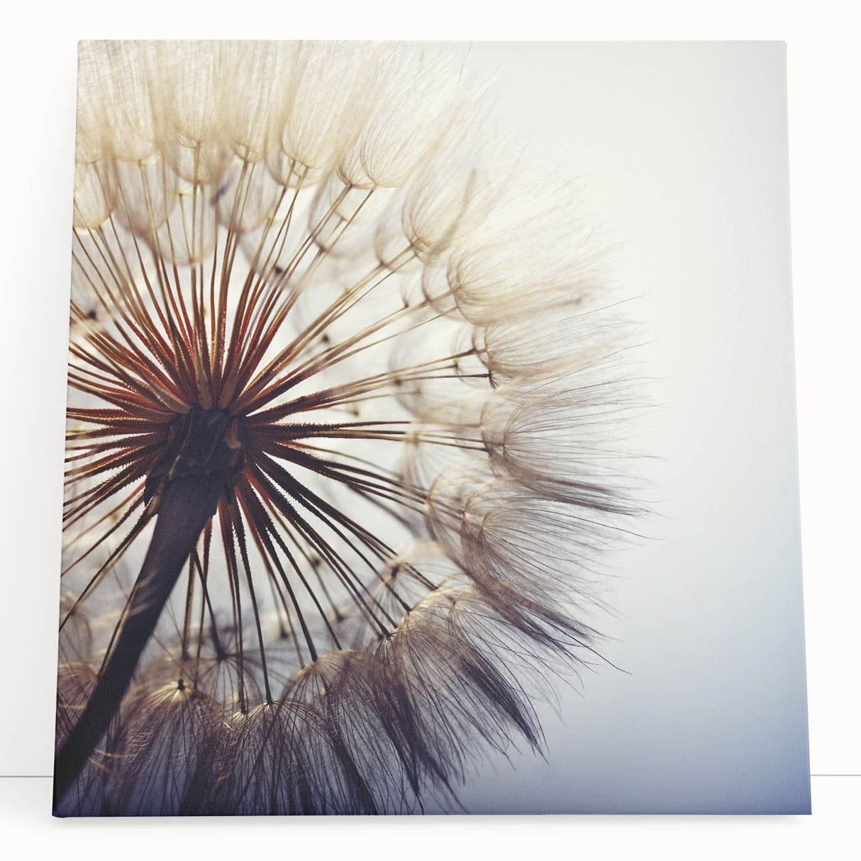 Stretched canvas wall art showcasing a detailed botanical dandelion design in soft pastel colors, perfect for enhancing modern home decor and interiors.