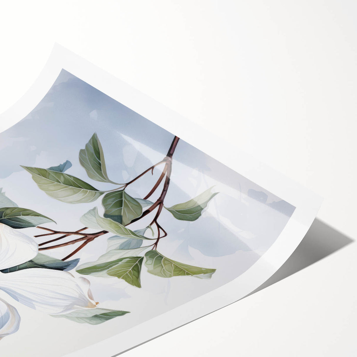 Botanical wall art print showcasing a delicate dogwood flower design with soft pink and white hues, rolled for easy display and shipping, perfect for home decor.