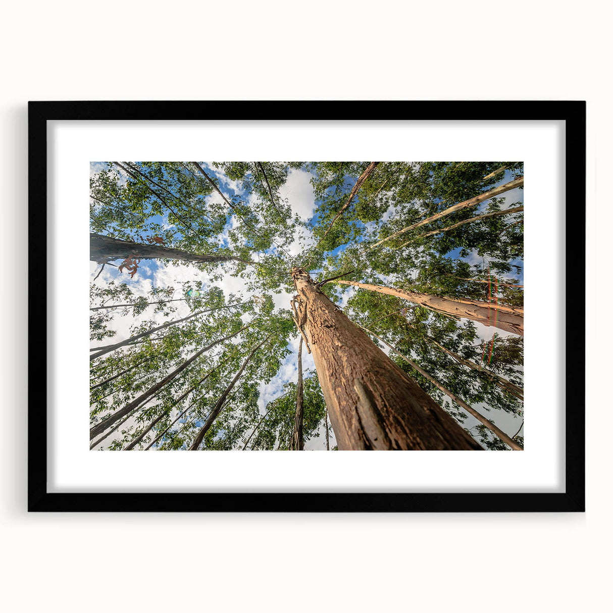 Framed botanical wall art featuring an elegant eucalyptus design in soft green and beige tones, set in a sleek black frame with a mat for a modern touch, perfect for home decor.