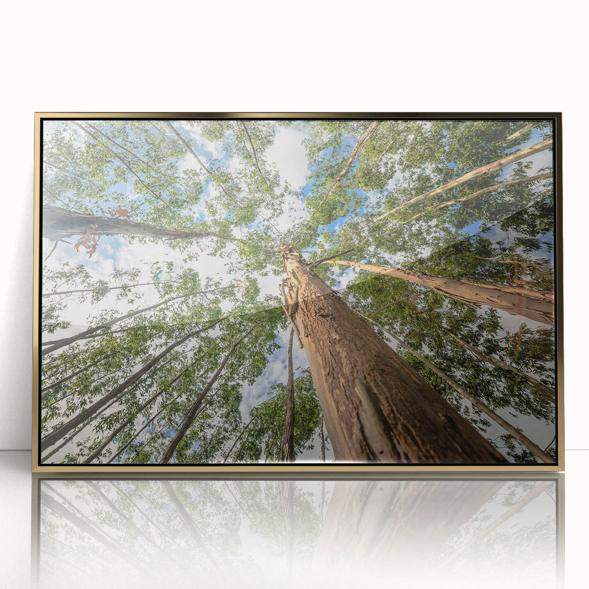 Framed wall art featuring an elegant botanical design of eucalyptus leaves in soft green tones, accented by a stylish gold frame, perfect for home decor enhancement.