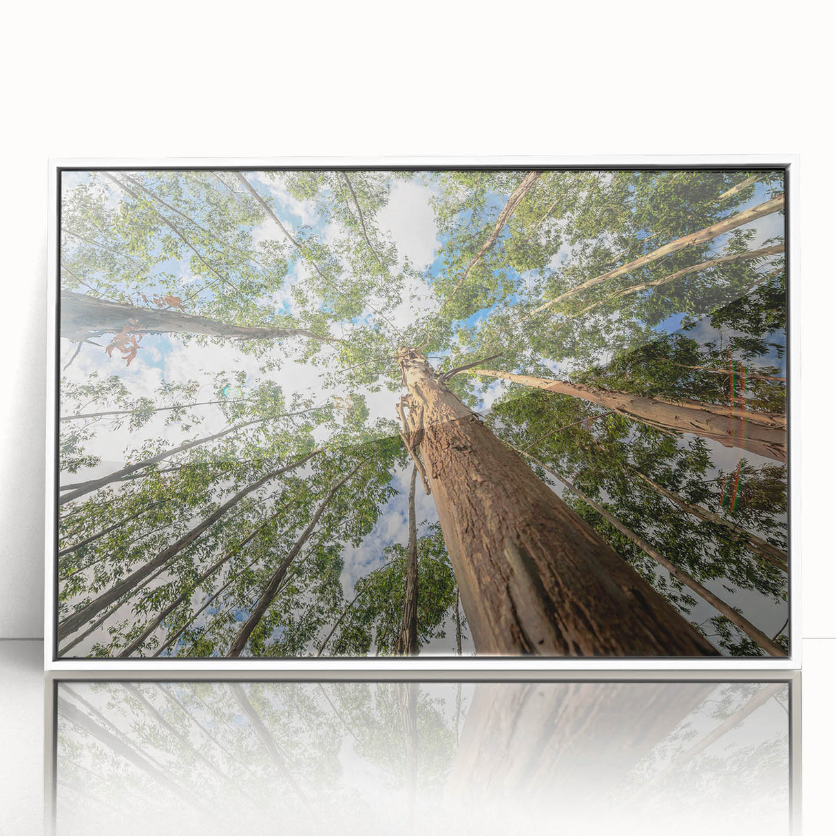 Framed wall art featuring a botanical eucalyptus design on a white background, showcasing intricate green leaves and a modern aesthetic, ideal for home decor.