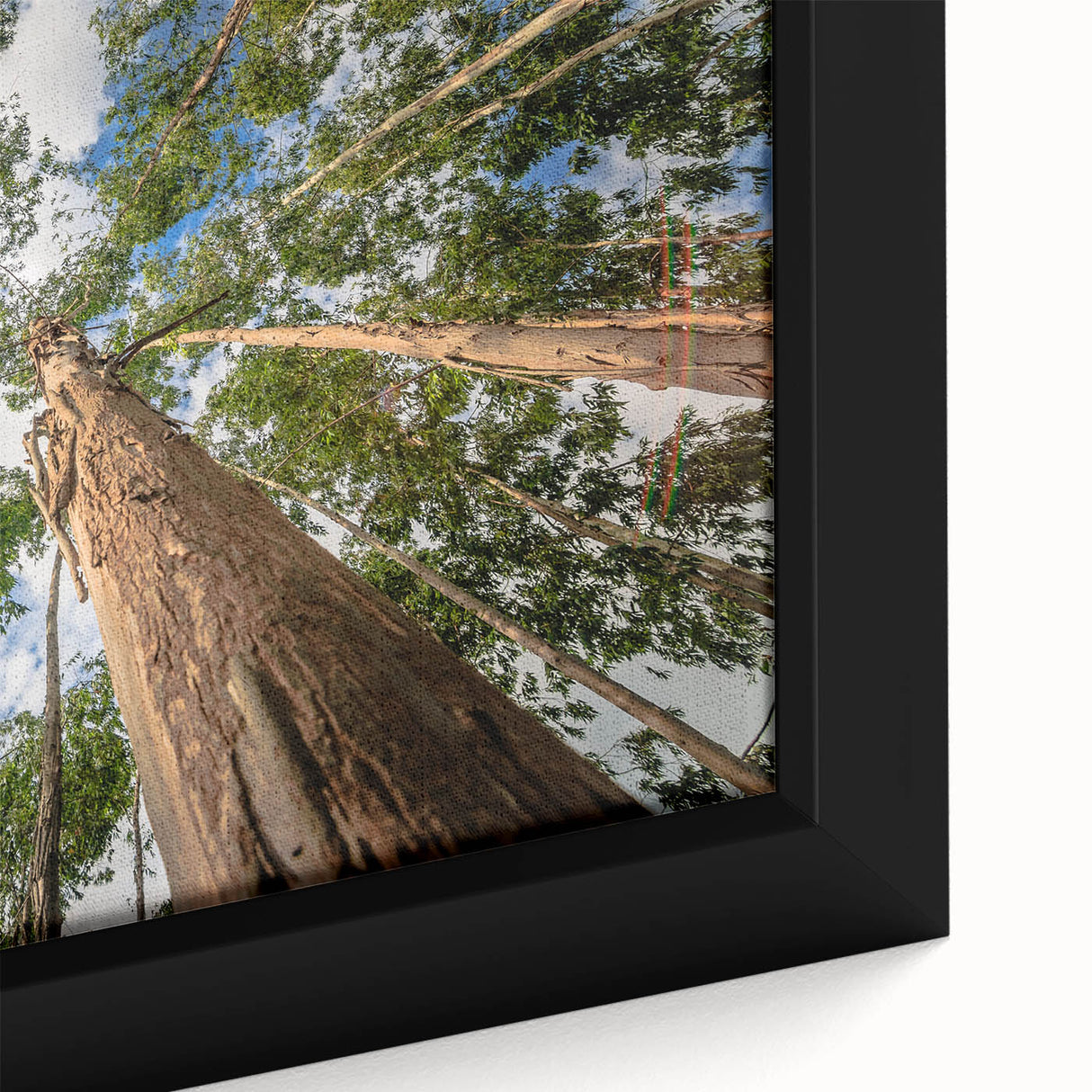 Close-up of a framed botanical wall art piece featuring elegant eucalyptus leaves in soft green tones, perfect for adding a natural touch to home decor.