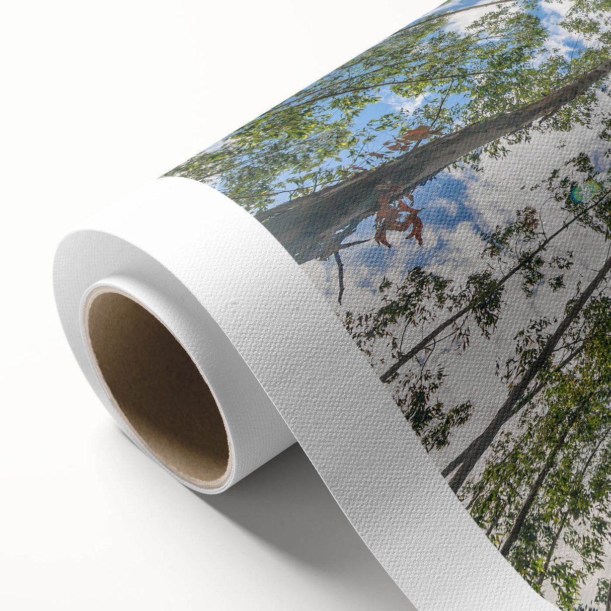 Elegant rolled canvas showcasing a botanical eucalyptus design, featuring lush green leaves and delicate stems, perfect for home decor. Ideal for nature enthusiasts.