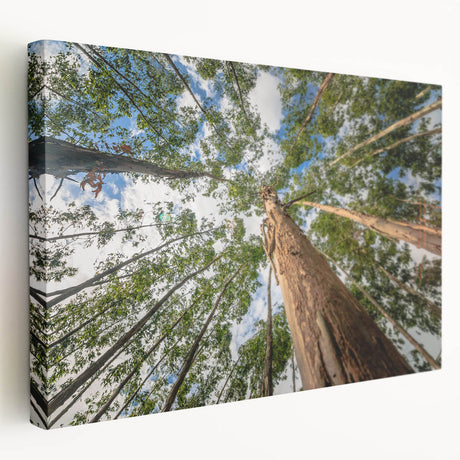 Eucalyptus botanical wall art design on stretched canvas, showcasing vibrant green hues and intricate leaf patterns, perfect for modern decor.