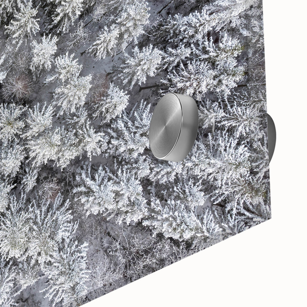 Close-up of a vibrant botanical wall art design featuring colorful flowers and trees, elegantly displayed on acrylic glass for a modern aesthetic, ideal for home decor.