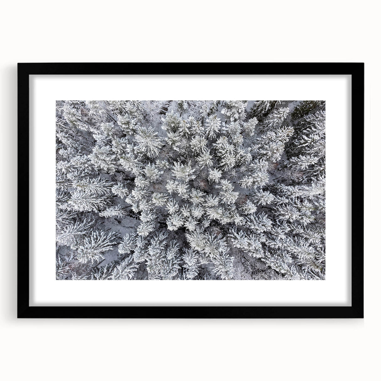 Botanical forest-themed wall art featuring a framed design with vibrant flowers and trees, set in a sleek black frame with a mat, showcasing natural beauty and elegance.