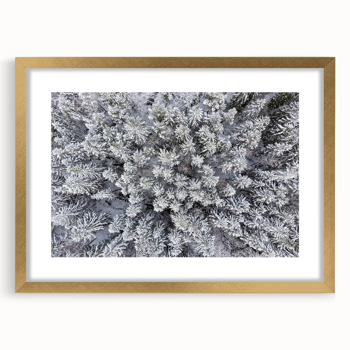 Botanical forest-themed wall art featuring intricate floral designs and trees, elegantly framed with a gold mat, perfect for enhancing home decor aesthetics.