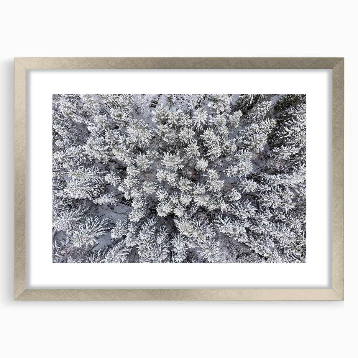 Botanical wall art featuring a forest design with vibrant flowers and trees, framed in silver with a mat, perfect for adding a touch of nature to home decor.