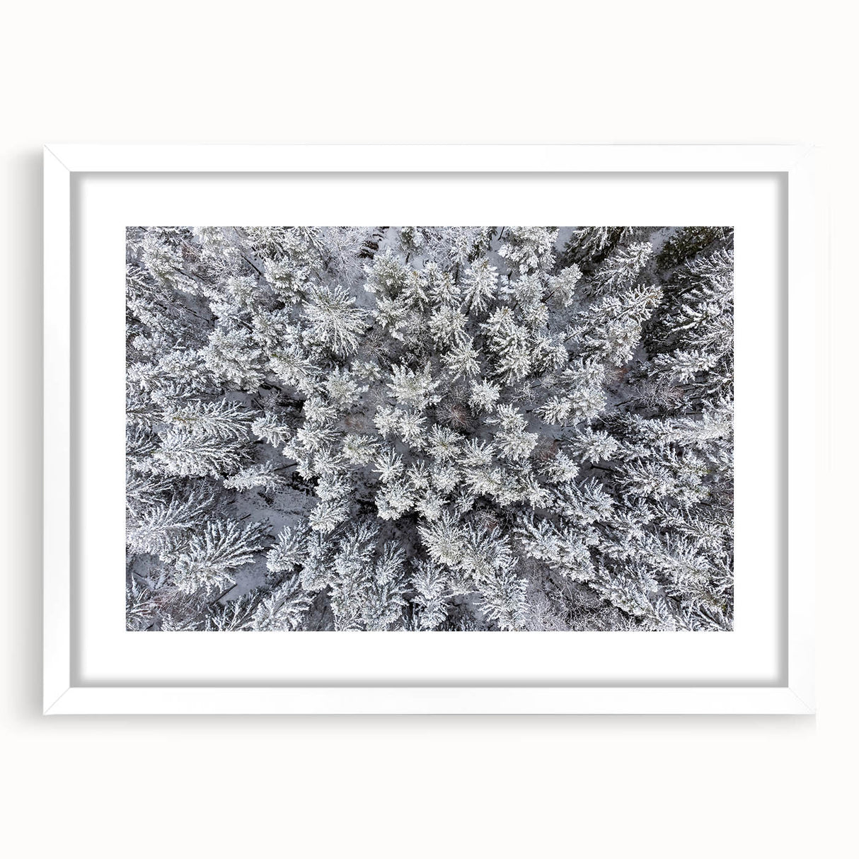 Botanical forest wall art collection showcasing a vibrant flower and tree design in a white frame with matting, perfect for enhancing home decor and nature-themed interiors.