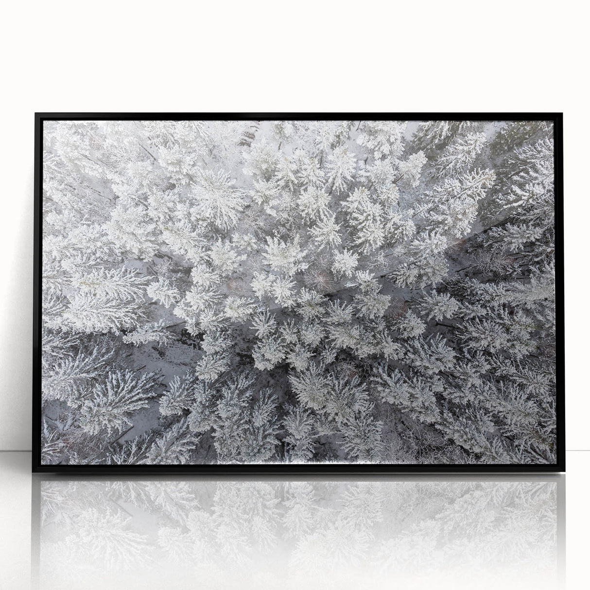 Framed wall art featuring a botanical forest design with colorful flowers and trees, set against a sleek black frame, perfect for home decor enhancement.