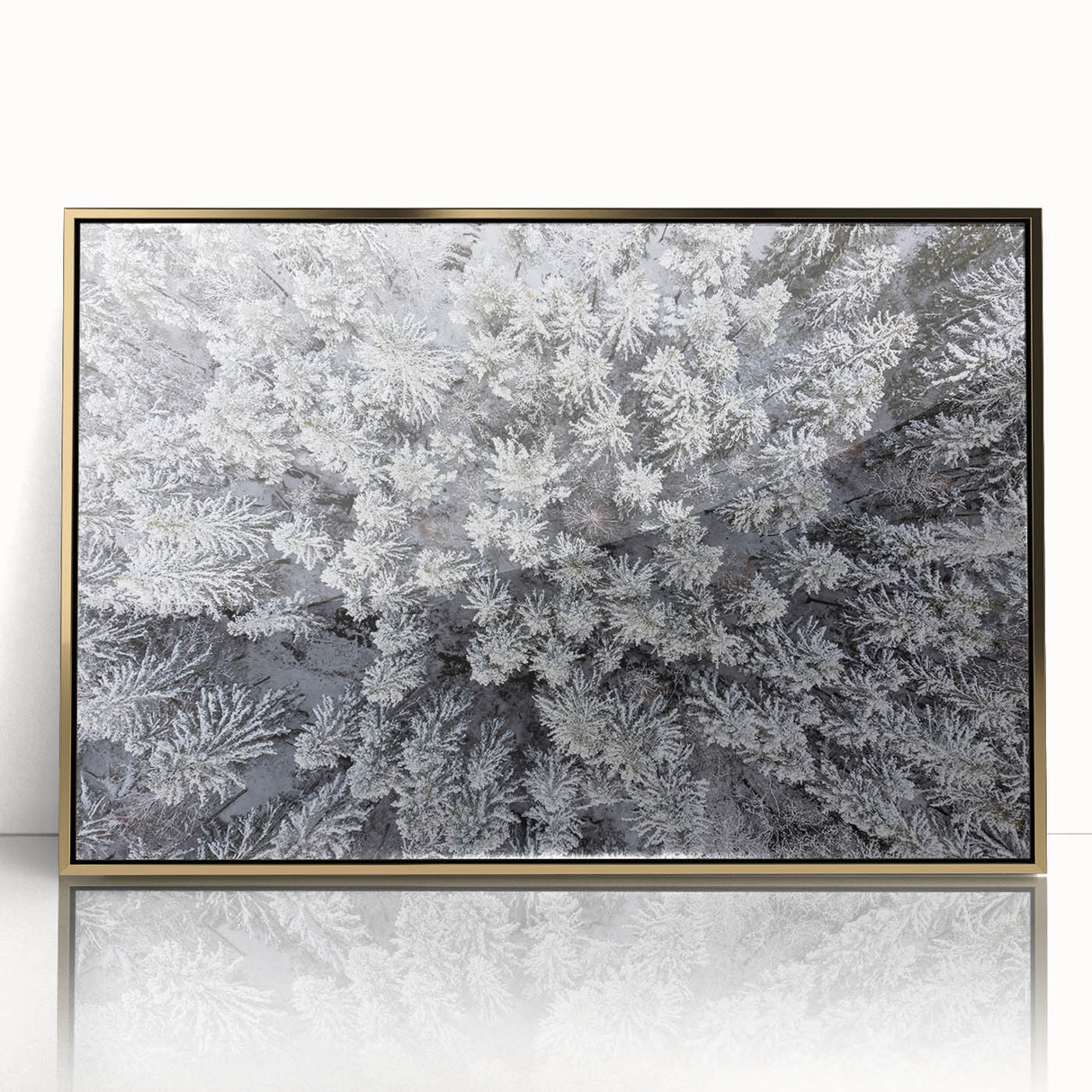 Framed wall art featuring a botanical forest design with vibrant flowers and trees, set in a gold-accented frame, ideal for home decor.