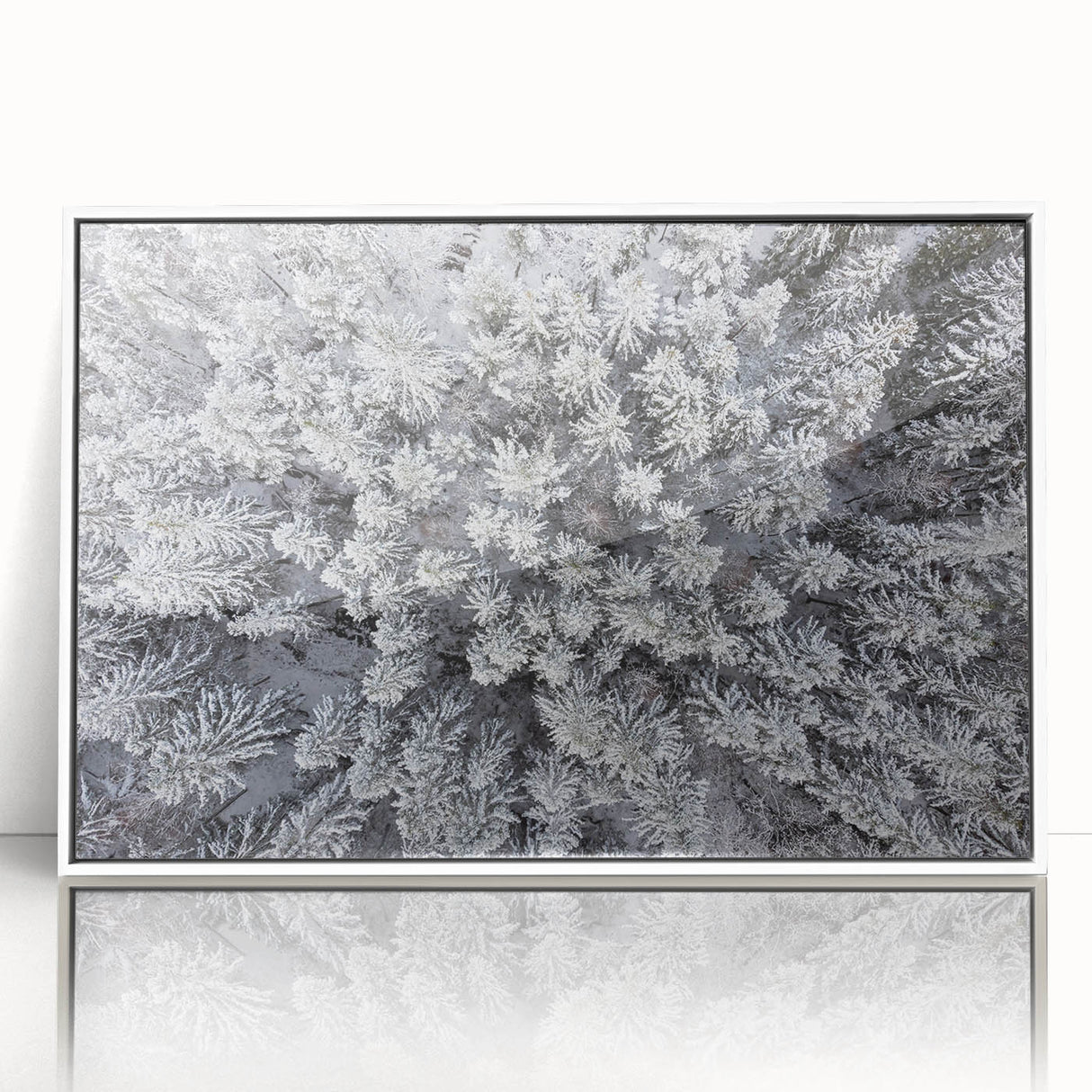 Framed wall art showcasing a botanical forest design with vibrant flowers and trees, set against a white background, perfect for enhancing natural decor.