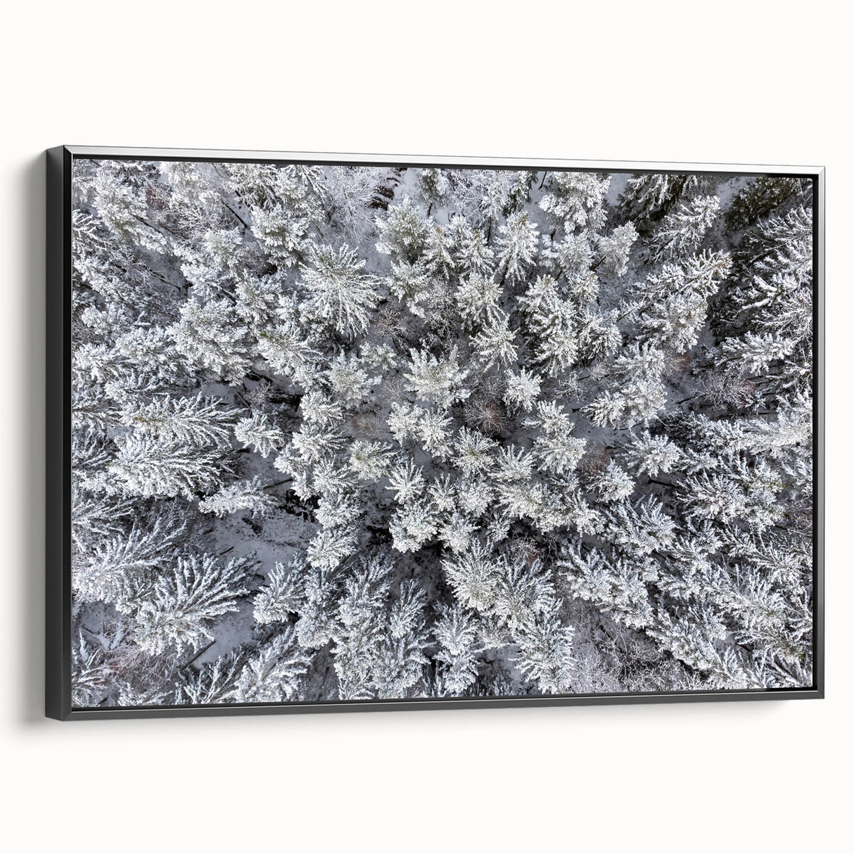 Framed canvas wall art depicting a vibrant botanical forest design with colorful flowers and trees, showcasing a sleek black frame from a side view for an elegant display.